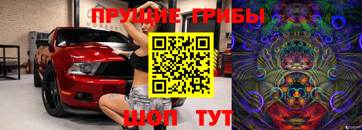 продажа наркотиков  Вход с VPN  Бийск  Галлюциногенные грибы Psilocybine cubensis  Галлюциногенные грибы Psilocybe 